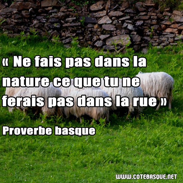 proverbe_basques (12)