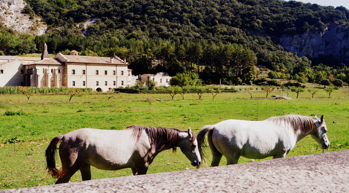 monaster irantzu