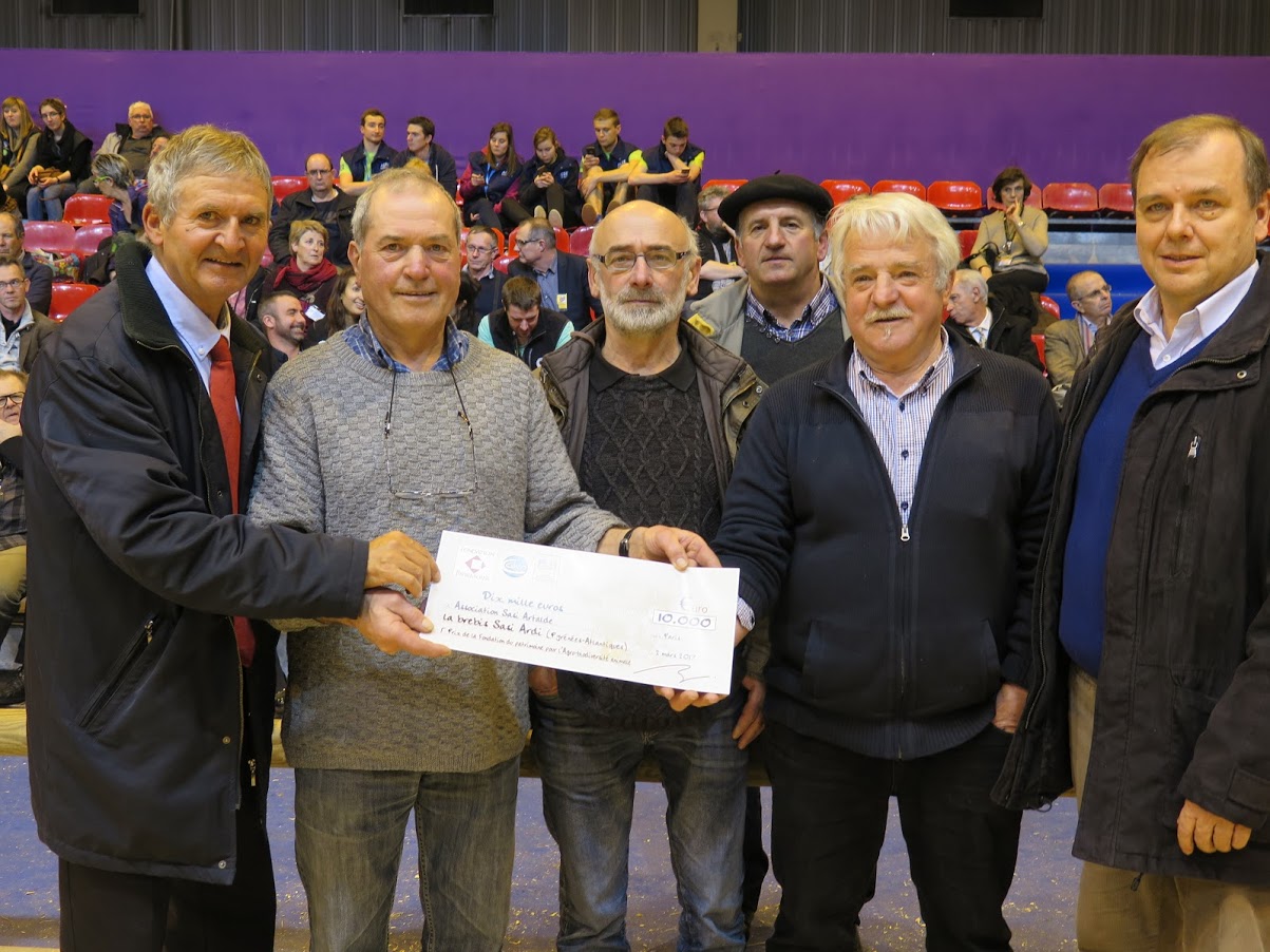 Une brebis basque remporte le 1er prix au Salon de l'Agriculture (Agrobiodiversité Animale) 