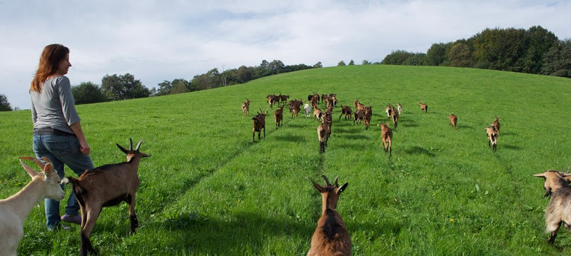 pays basque agriculture