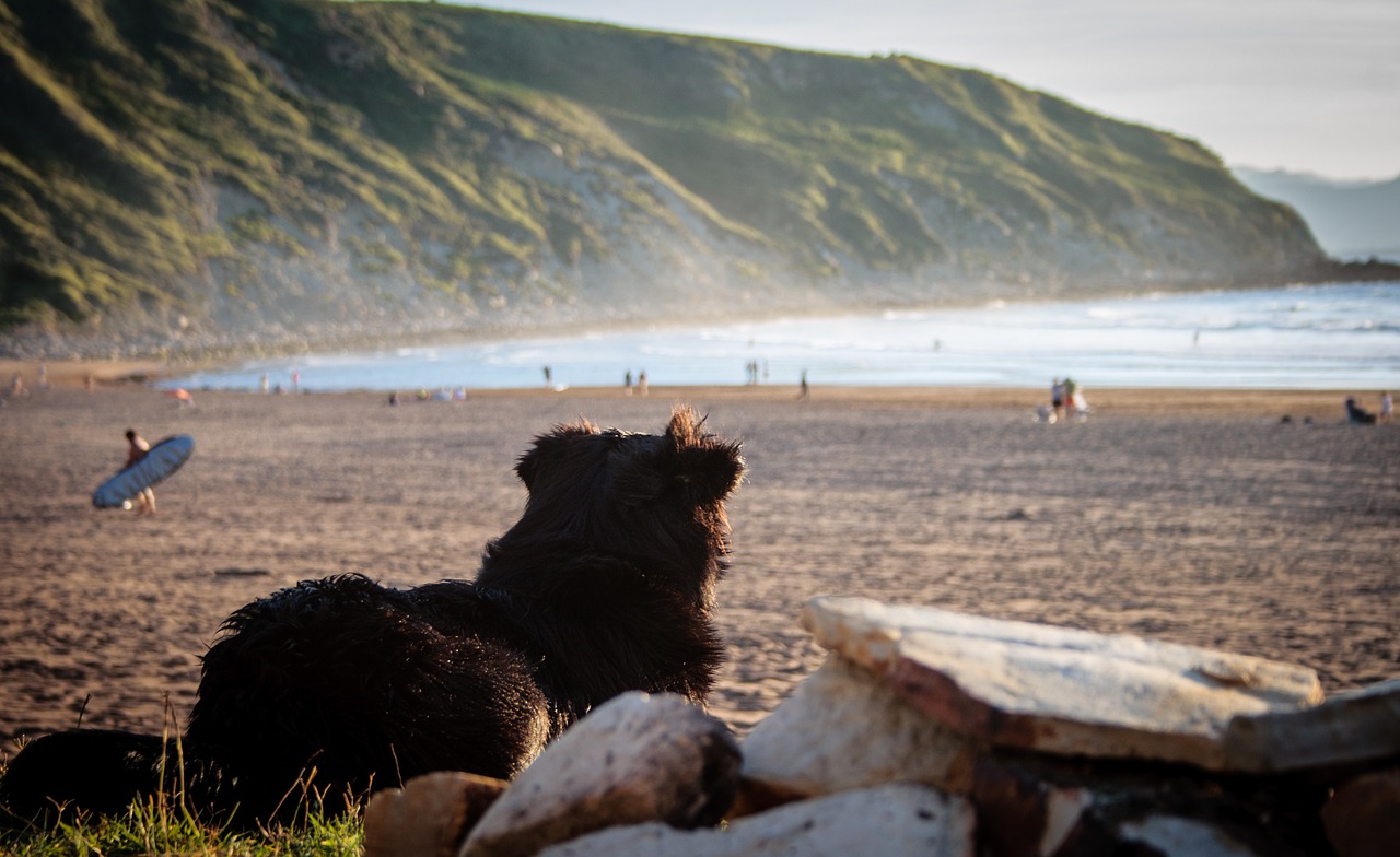 pays basque