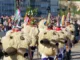 Carnaval et Bœufs gras