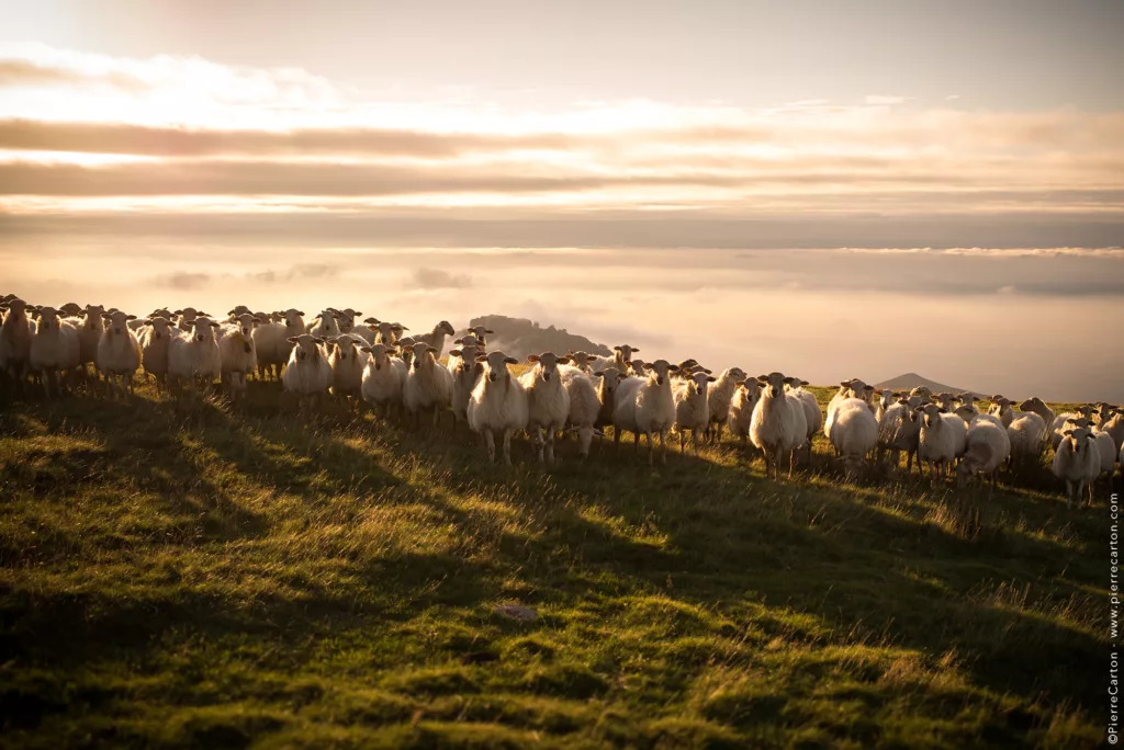 ballades Pays Basque
