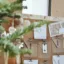 Plongez dans la magie de Noël dès le 1er décembre