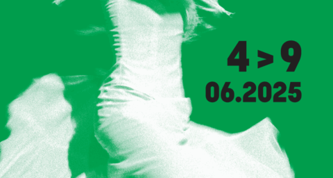 Festival andalou