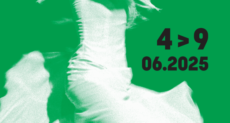 Festival andalou