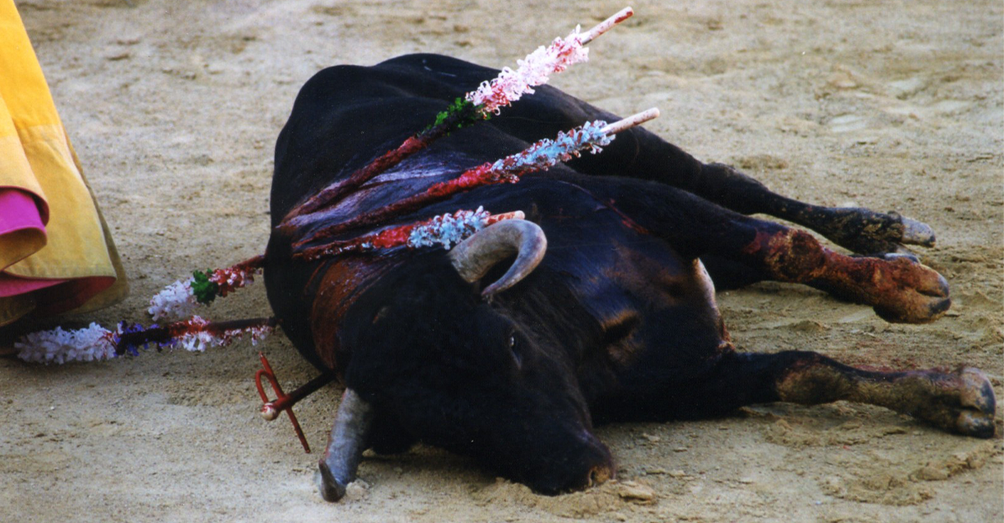 corrida bayonne