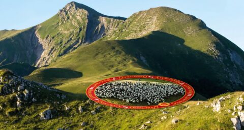 ossau iraty