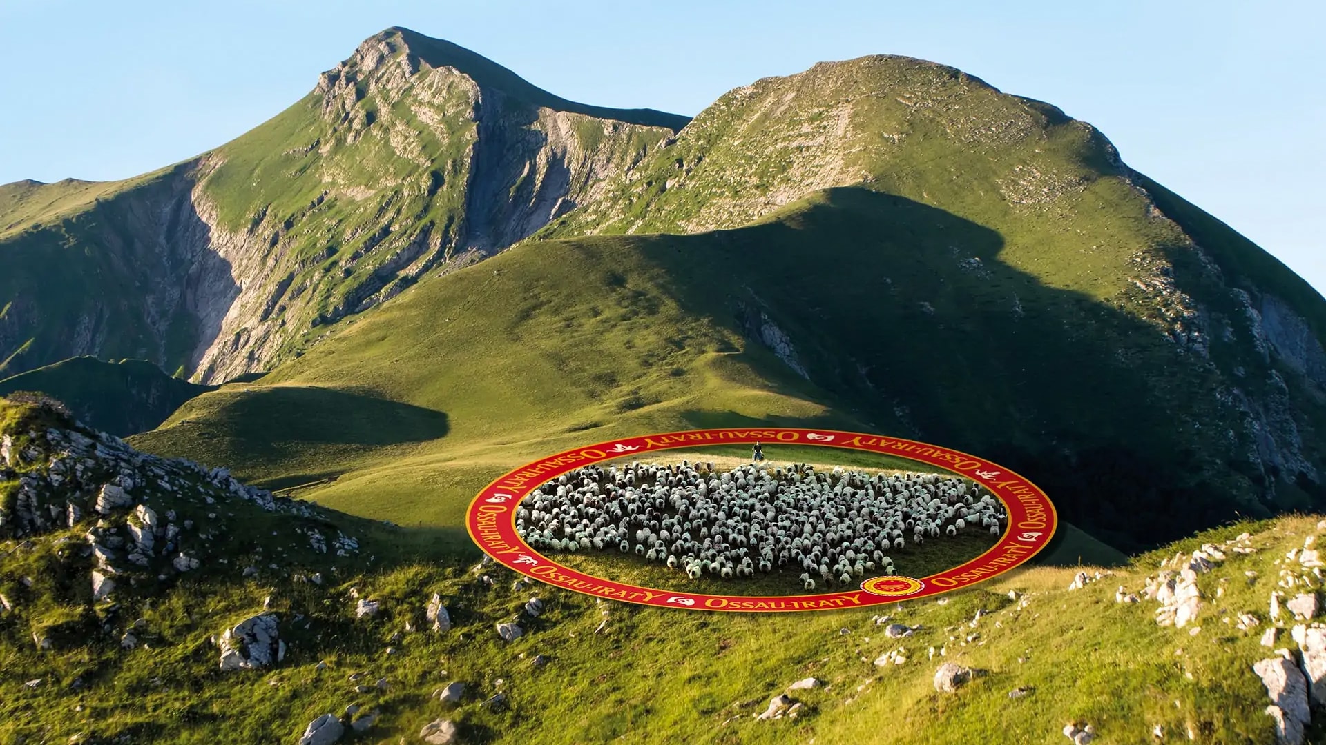 ossau iraty