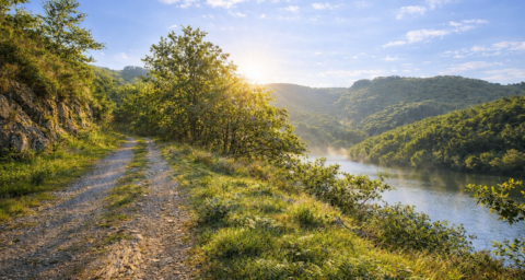 bergerie de Malbazar