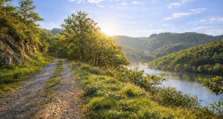 bergerie de Malbazar