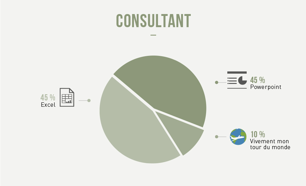 infographie-metiers-consultant